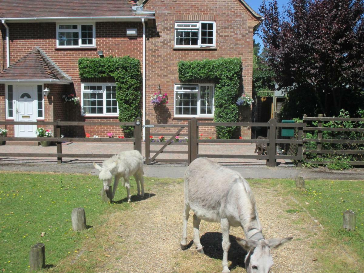 Hops Annex Villa Brockenhurst Exteriör bild